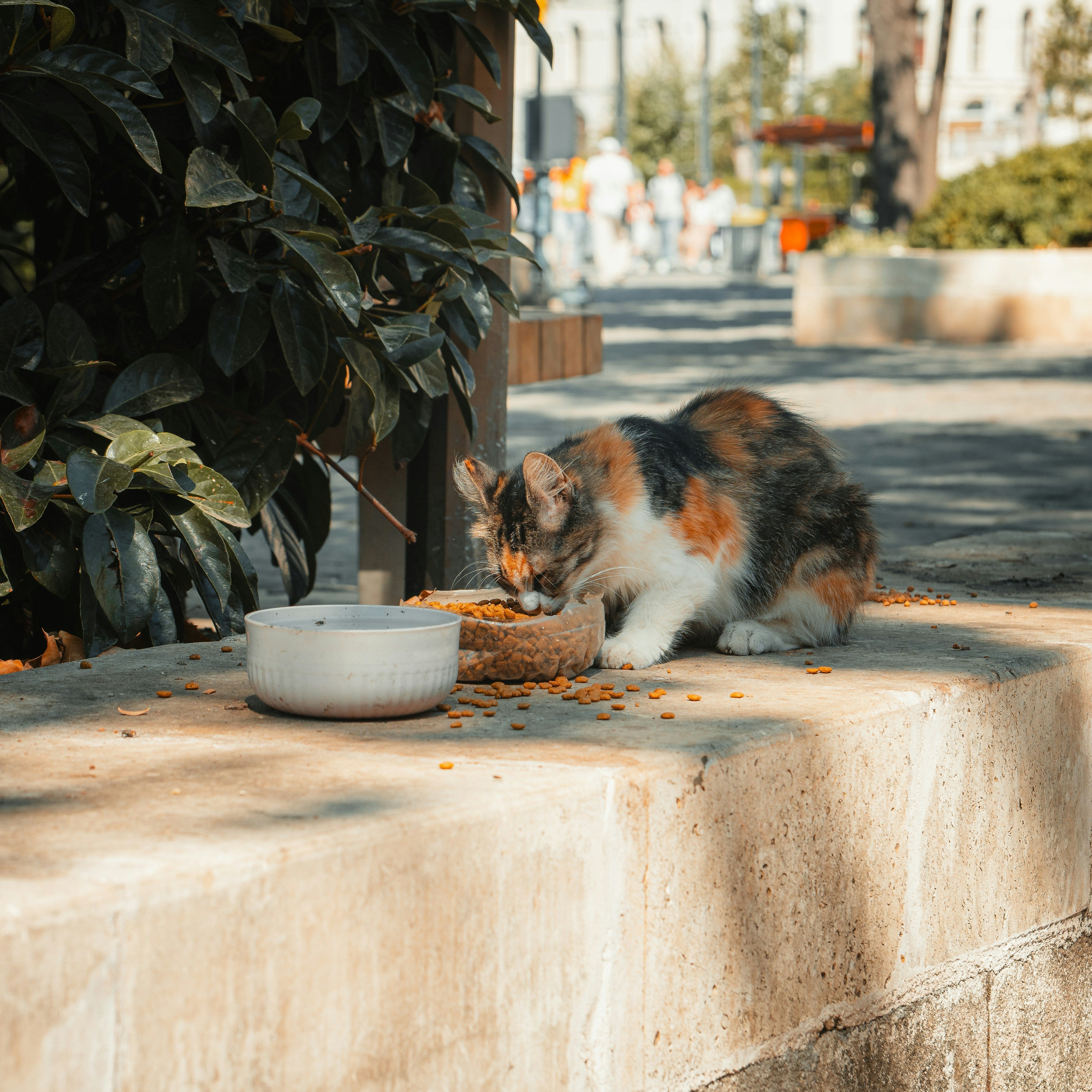 Feeding & Hydration
