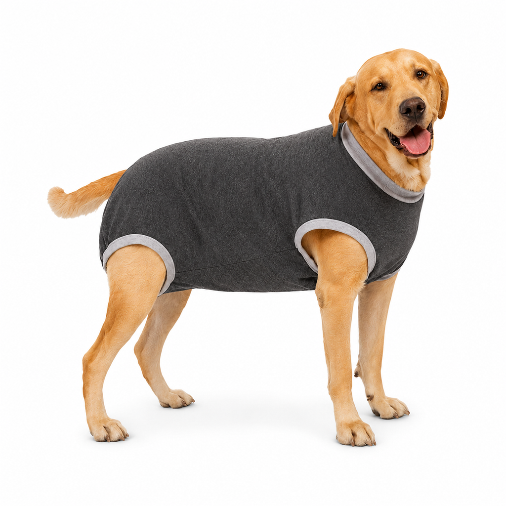 Brat Paws™ Shield