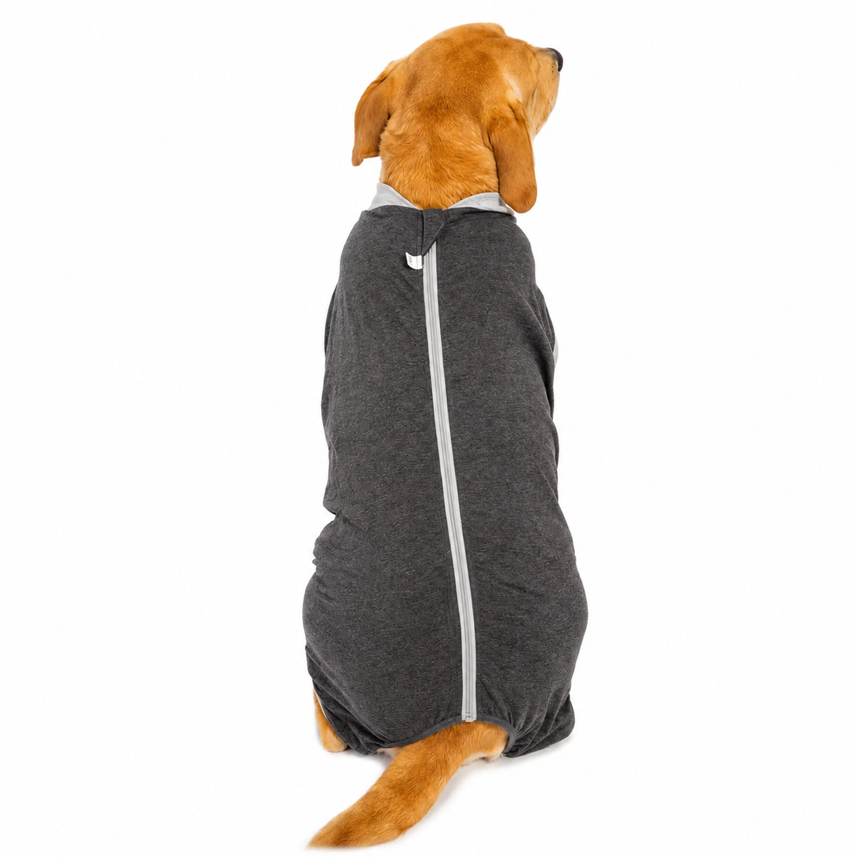 Brat Paws™ Shield