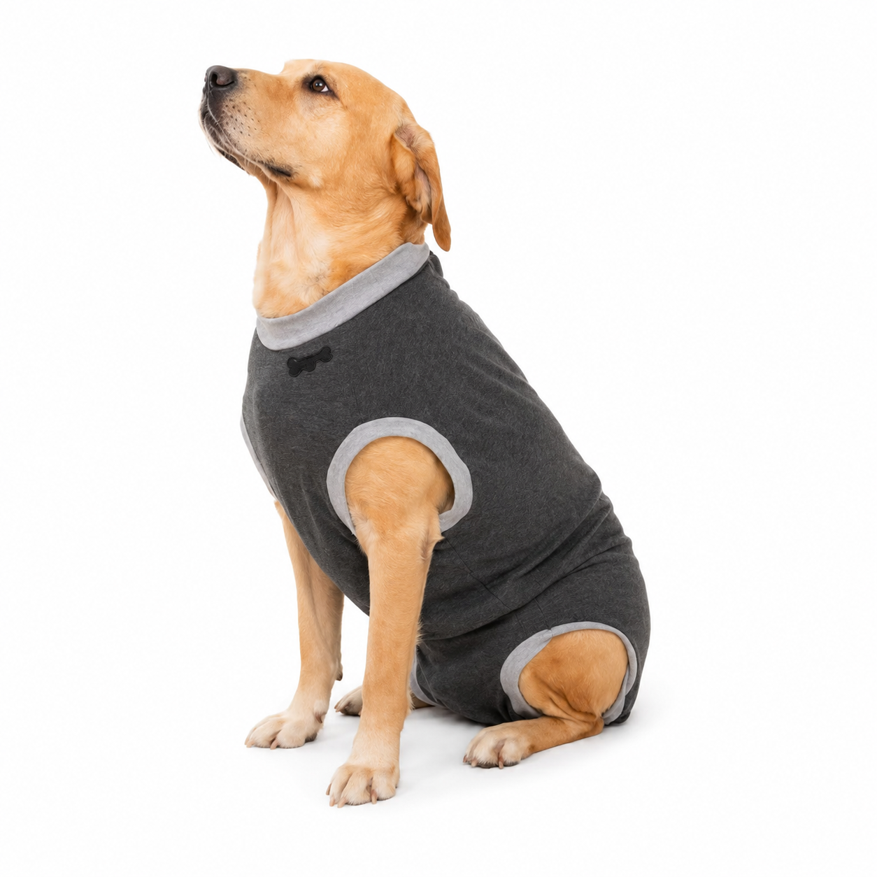 Brat Paws™ Shield